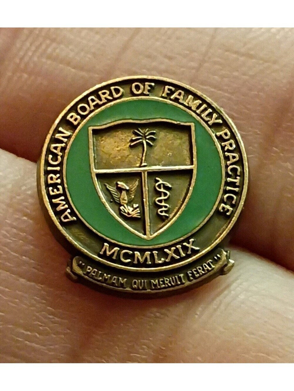 1/10 10k American Board of Family Practice Pinback Lapel Pin Badge MCMLXIX LGB